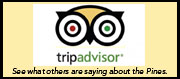 trip advisor